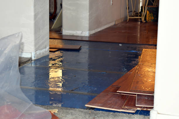 Professional Burst Pipe Cleanup technician working in Clayton, WA